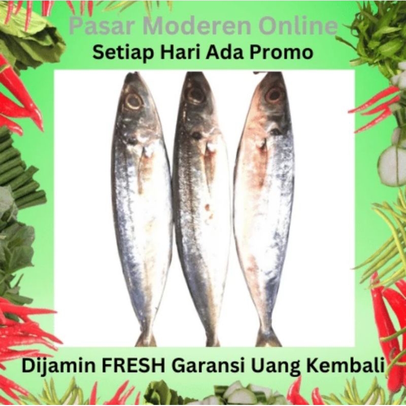 

IKAN KEMBUNG LAYANG SEGAR 500 GRAM/PEDAGANG/LAPAK/BAKUL/KEDAI/WARUNG/JUAL BELI SAYUR SAYURAN DAN IKAN SEGAR TERMURAH/PASAR MODEREN ONLINE