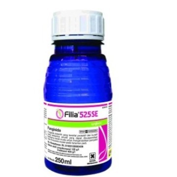Filia 250ml