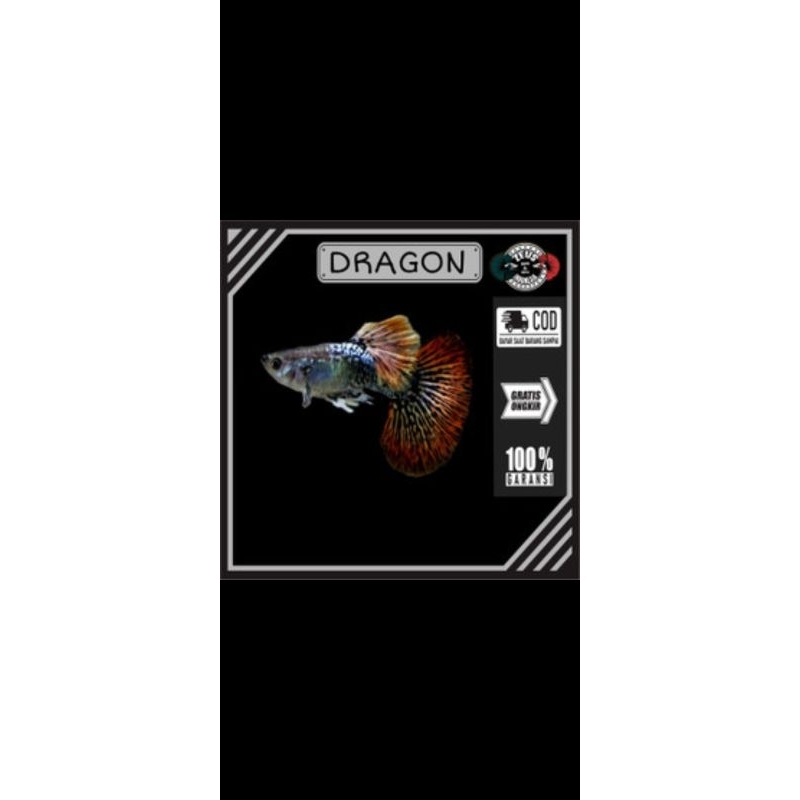 

stiker_Red_dragon