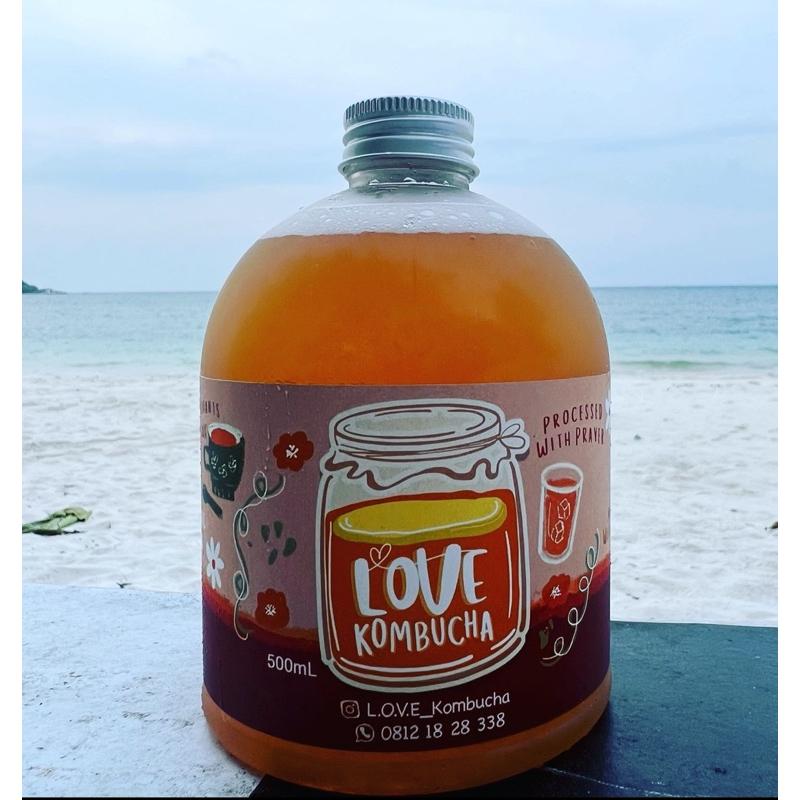 

HomeMade Love Kombucha 500ml