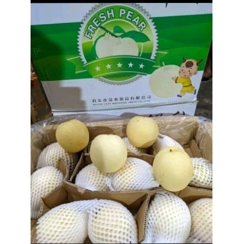 

Buah Pir Madu 1kg