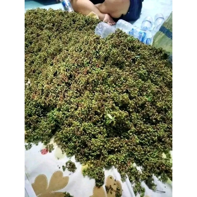

Andaliman Parsoburan 1000gr