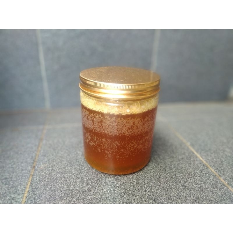 

madu asli hutan sumatra