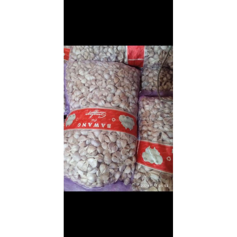 

Bawang Putih 500 gr