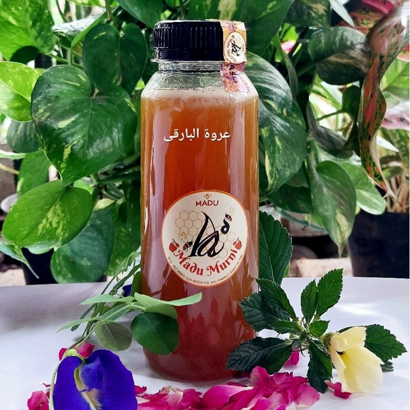 

Madu Kaliandra | Madu Asli | Apis Cerana