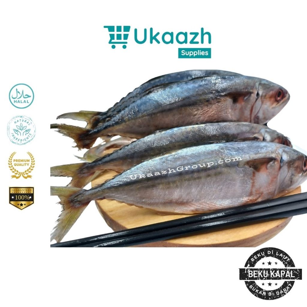 

Ukaazh Ikan Kembung Banjar 1 Kg 1.000 Gram Beku Laut Frozen Segar