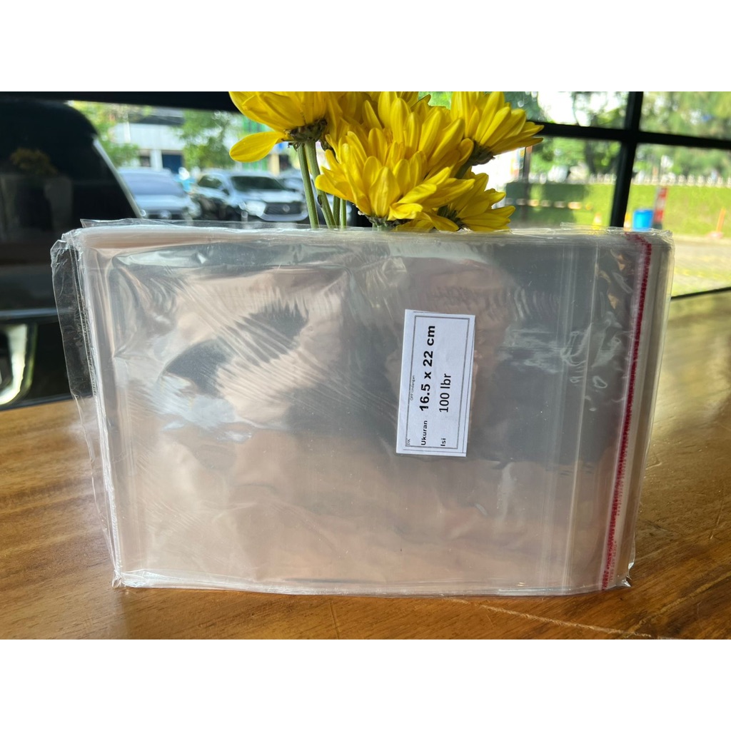 Plastik OPP 16.5 x 22