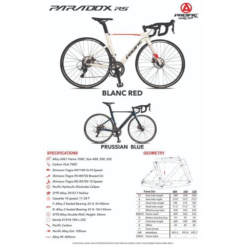Road Bike Pacific Paradox R5 Frame Alloy