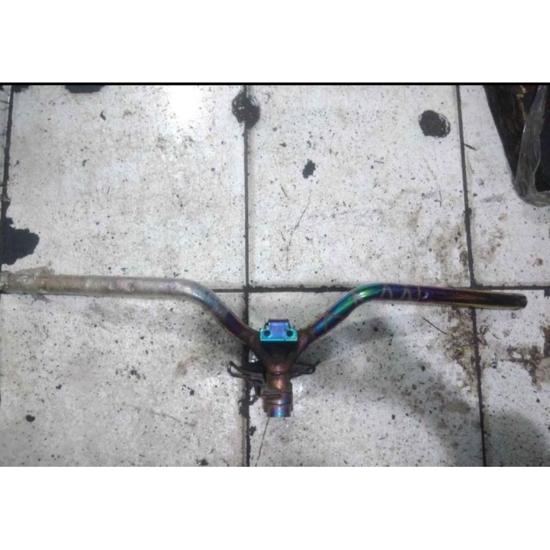 stang fino thailand Rainbow