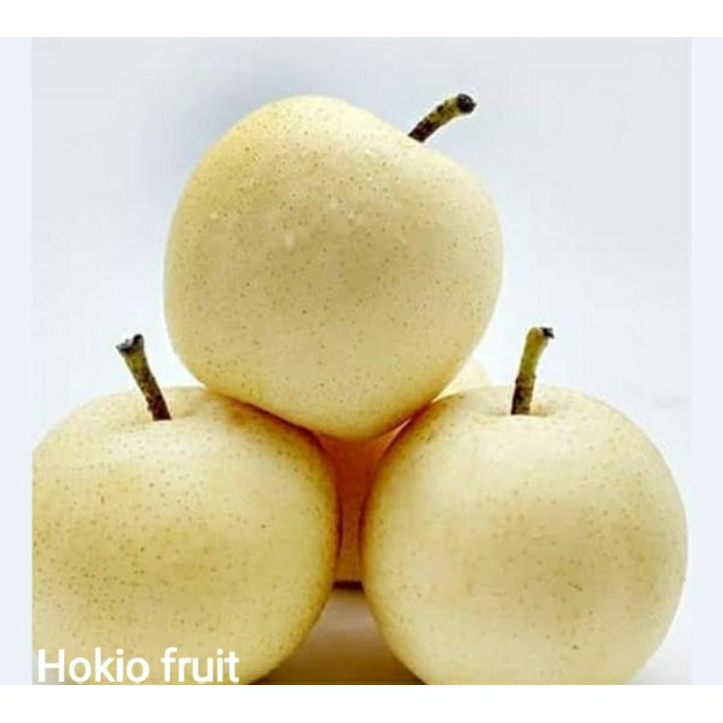 

Pier Century Premium ❤️Hokiofruit❤️