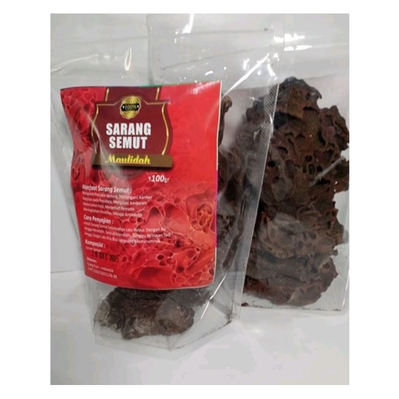 

SARANG SEMUT ASLI PAPUA ASLI 100 GRAM ORIGINAL