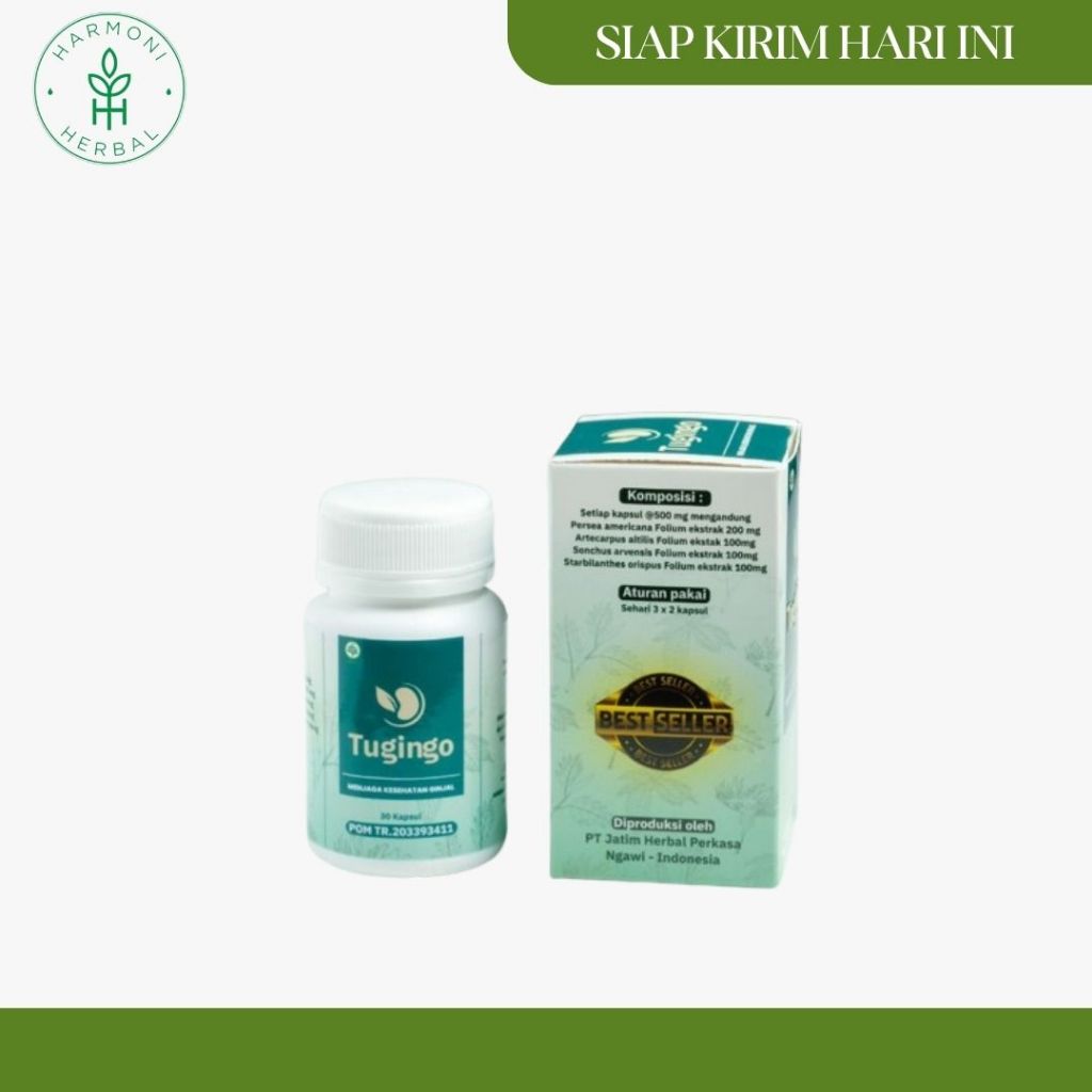 TUGINGO Obat Herbal Batu Ginjal Original Infeksi Saluran Kemih Ginjal Bocor Gagal Ginjal Infeksi Gin