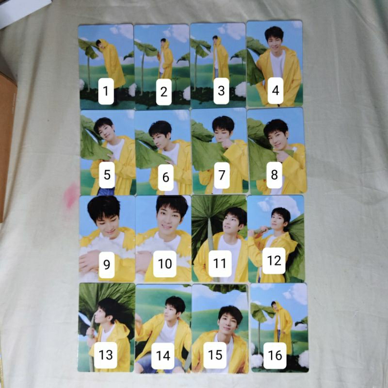 PC Wonwoo Seventeen - SEVENTEENTH HEAVEN Carat ver.