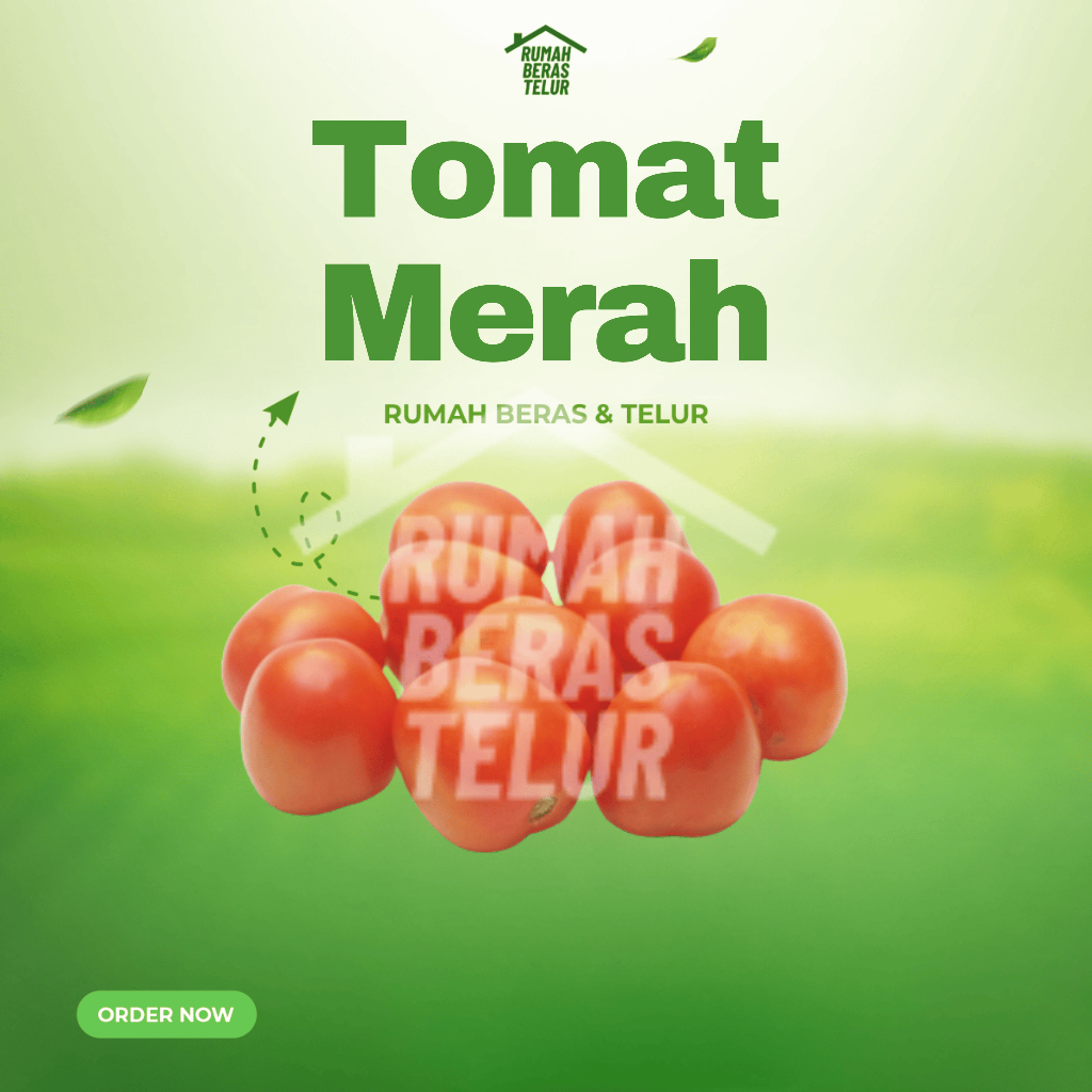 

tomat merah segar