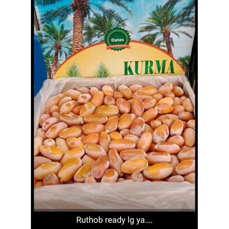 

kurma ruthob setengah matang kurma Ruthob fresh