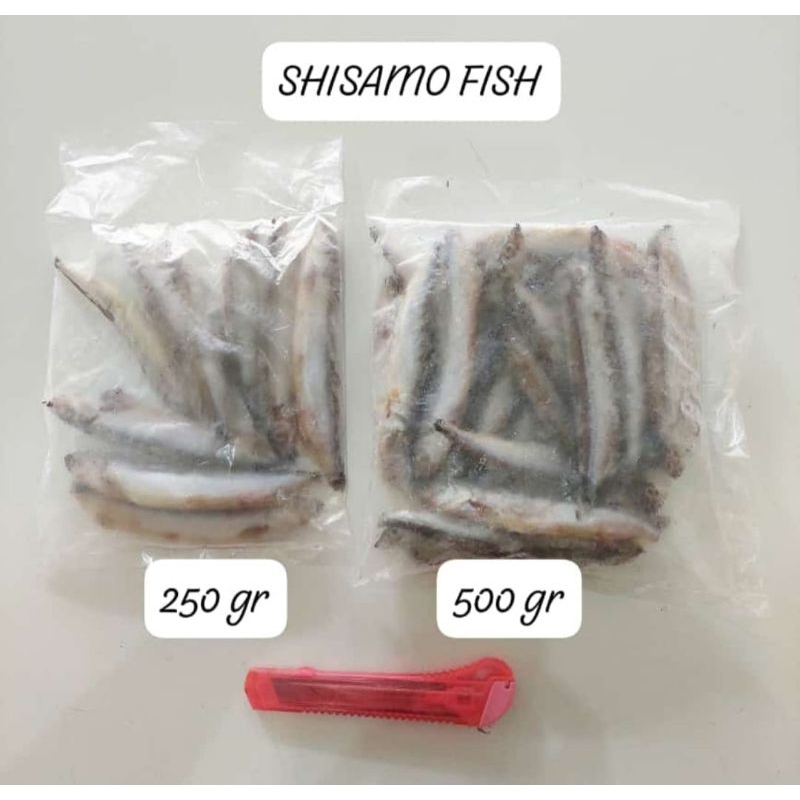 

Ikan Shisamo / Capelin Fish Male (Non Telur) 1 pack 250gr isi 8-10pcs