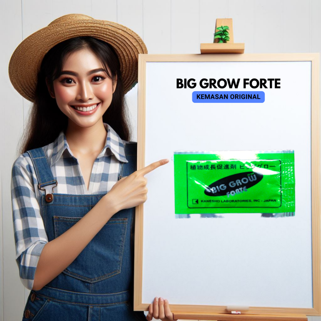 BigGrow Forte ZPT GA3