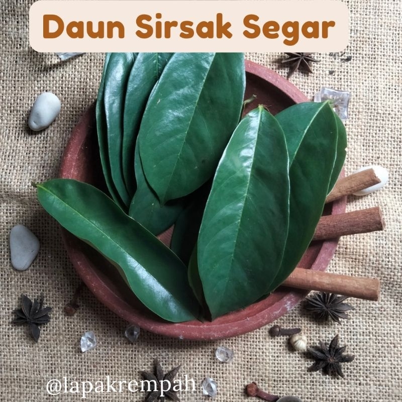 

DAUN SIRSAK SEGAR 50 LEMBAR + BONUS 1 SACHET MADU