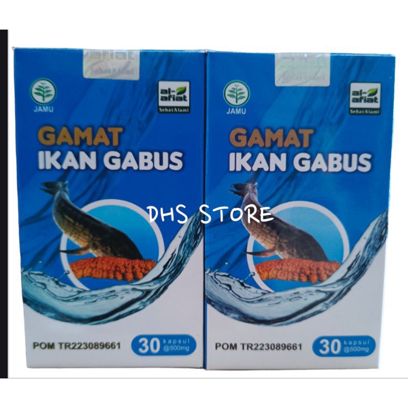 GAMAT IKAN GABUS|ALBUMIN|MINYAK IKAN GABUS|MINYAK GABUS