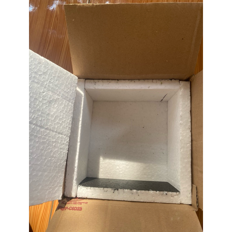 

sterofoam kardus cupang live