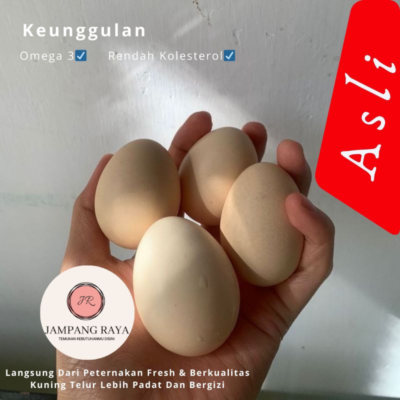 

Telur / Telor Ayam Kampung Unggulan Balitbangtan (KUB) Original Konsumsi Buat Fertil Juga Bisa