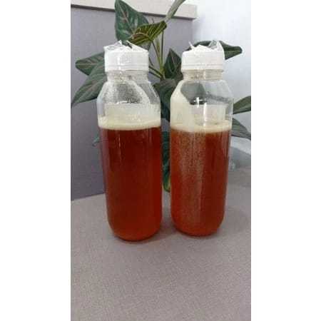 

Madu Sialang Riau ASLI & MURNI