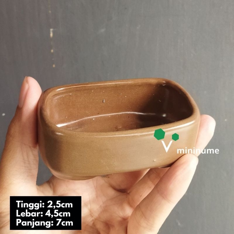 Pot Mini, Pot Bonsai, Pot Unik Tanaman Hias