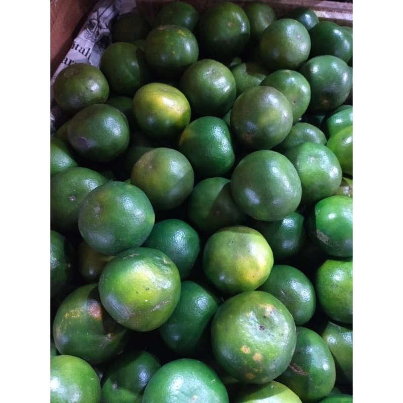 

JERUK PERAS | Pusate Buah