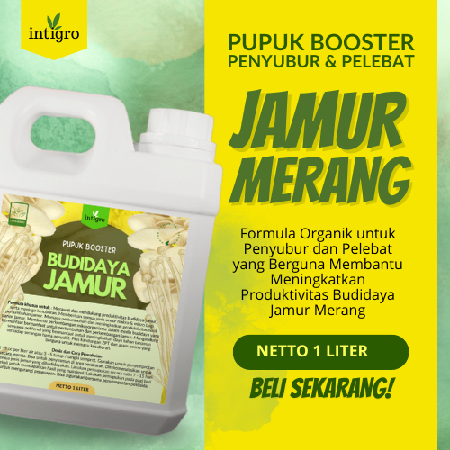 Pupuk Jamur Merang / Pupuk Jamur Organik Pupuk Pelebat Jamur Pupuk Booster Jamur Pupuk Jamur Pupuk J