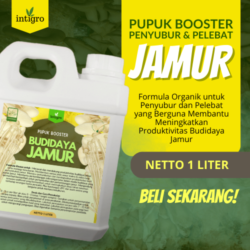Pupuk Nutrisi Jamur Nutrisi Natural Pupuk Jamur Tiram Penyubur Nutrisi Jamur Tiram Nutrisi Jamur Tir