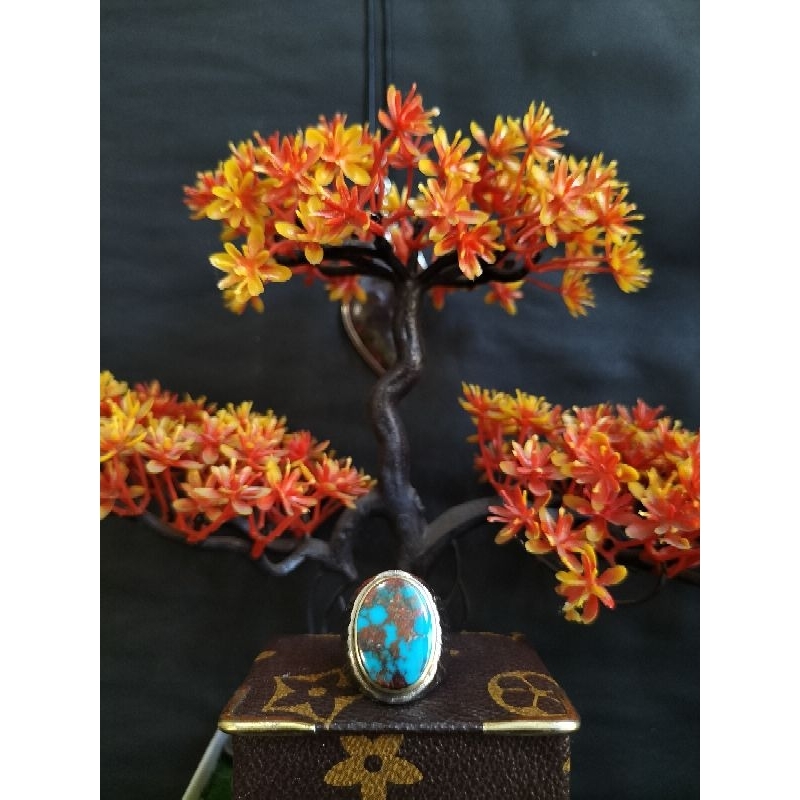 (READY) Pirus Persia Urat Merah Biru Fancy