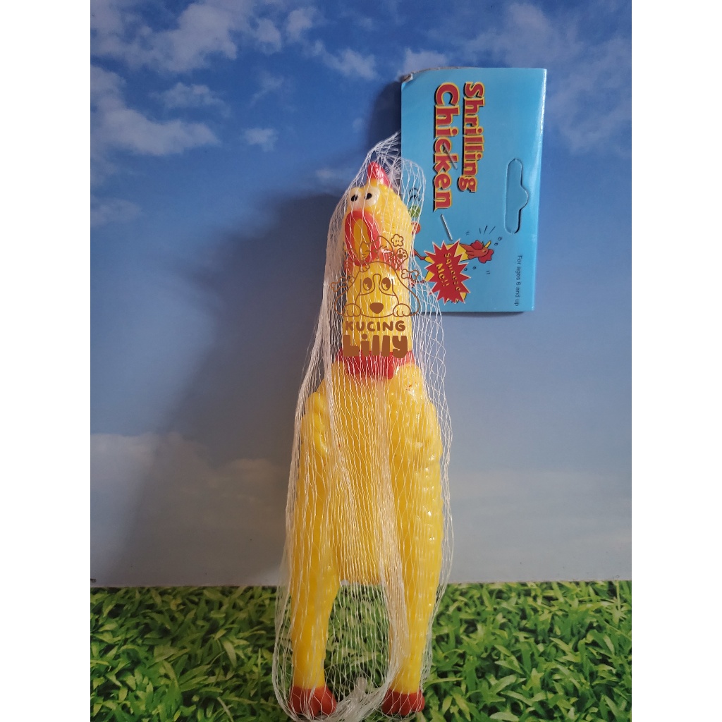 Mainan Bebek - Squeaky Toy - Mainan Bebek Teriak Bunyi Bebek Bunyi