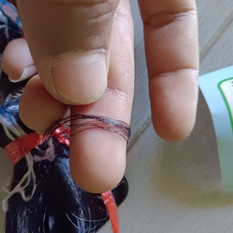 JARING BURUNG KECIL 1¼ INCH / 1 JARI JARING BURUNG CIBLEK PRENJAK EMPRIT JARING BURCIL BURUNG KECIL 