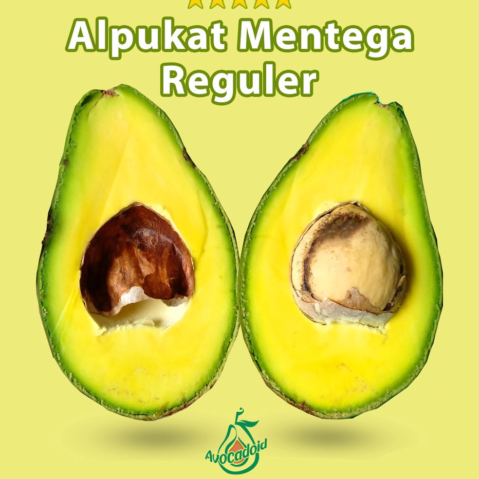 

Ready Stok Alpukat Mentega Reguler Bergaransi