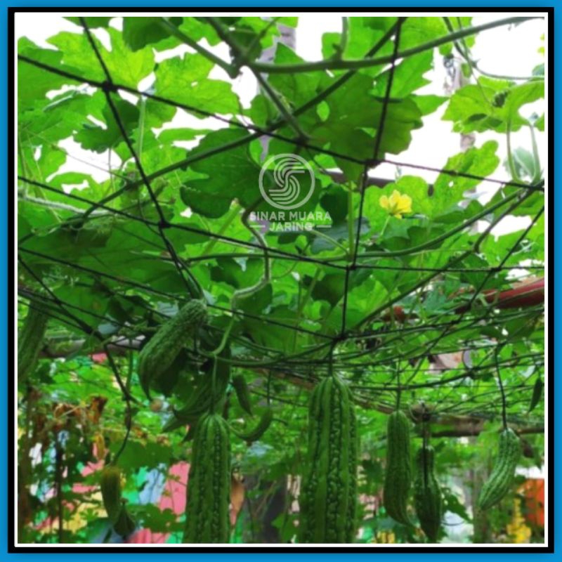 Jaring Tanaman Rambat Sayuran Buah Anggur/Jaring Tanaman Rambatan/Jaring Rambatan Tanaman/Jaring