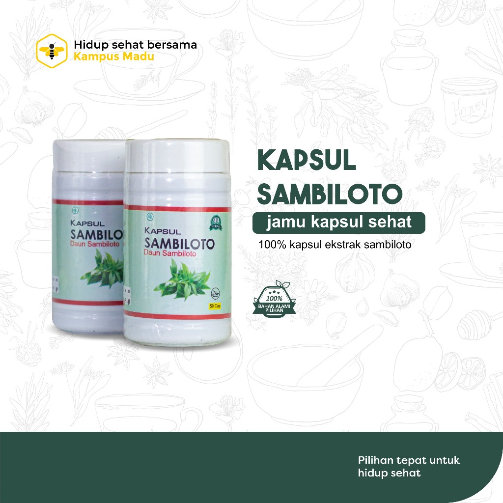 Sambiloto Kapsul isi 50 kapsul 100% Ekstrak Sambiloto