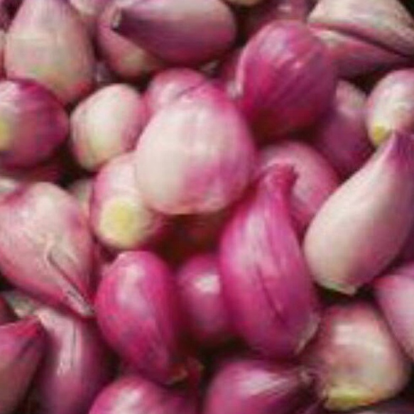 

ORIGINAL Bawang Merah Kecil Kupas 5 gr