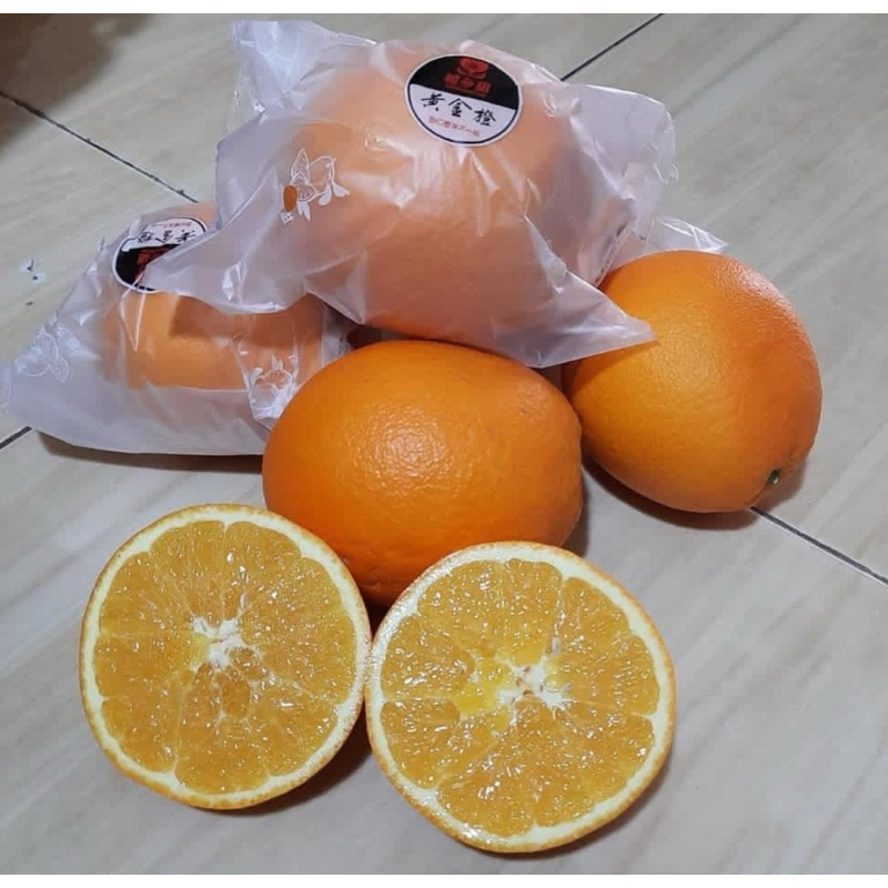 

Jeruk Sunkist Navel Premium Pack | Sunkist manis |Buah Segar| GBMfresh