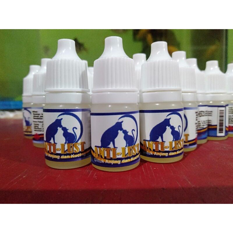 ANTI LUST JANTAN / anti birahi kucing jantan