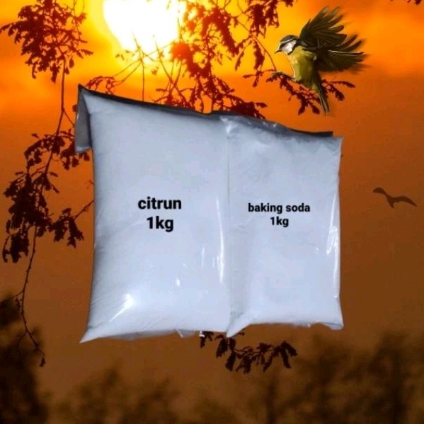 

Paket Citrun 1kg dan Baking soda 1kg untuk co2 diy aquascape