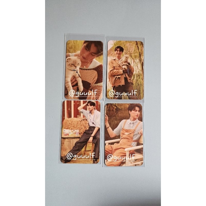 Gulf Kanawut Pet Hipster Photocard