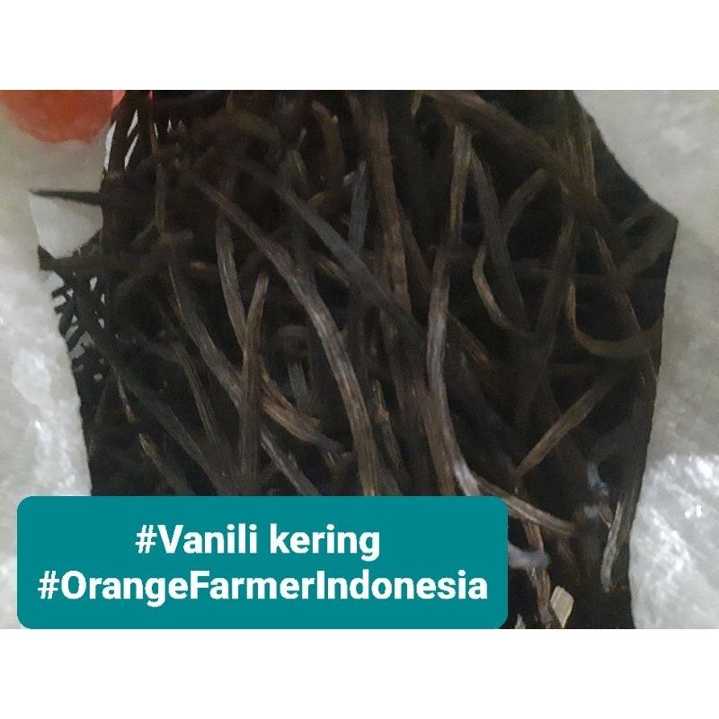 Vanili / Vanilla kering 1 kg, Fresh Jemuran