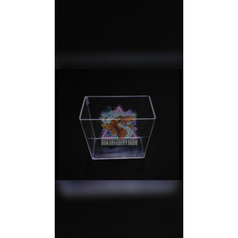 Soliter GUPPY PRTDE Super Grade