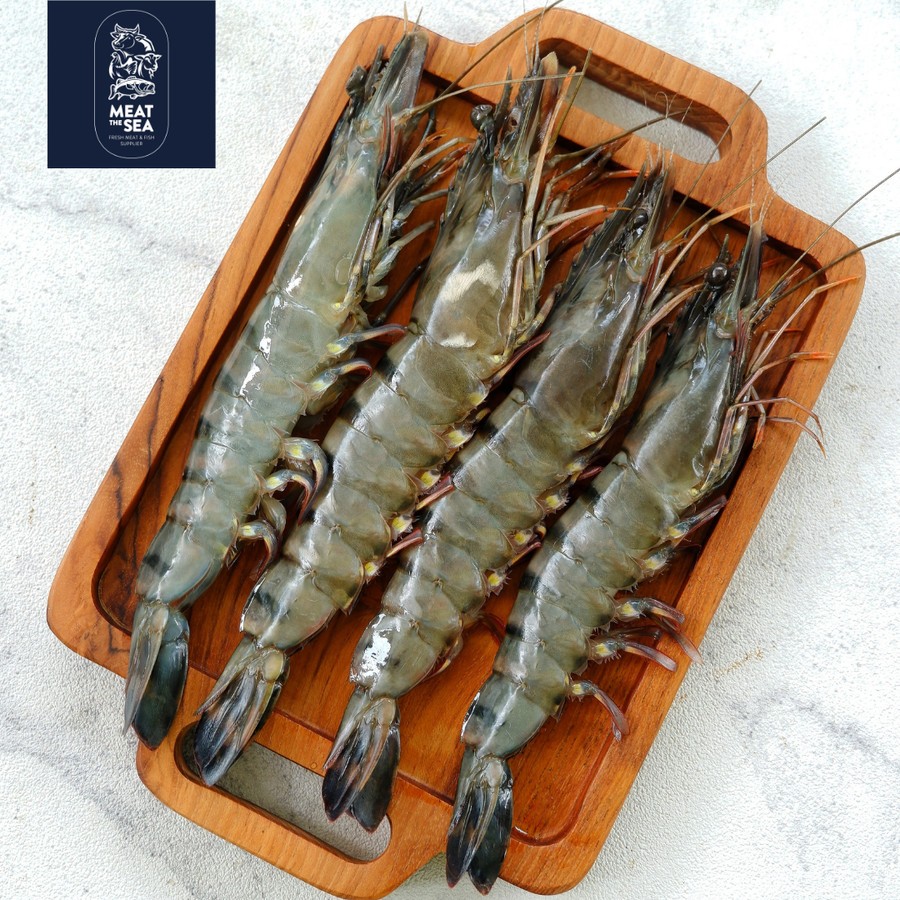 Udang Pancet | Udang Windu | Tiger Shrimp