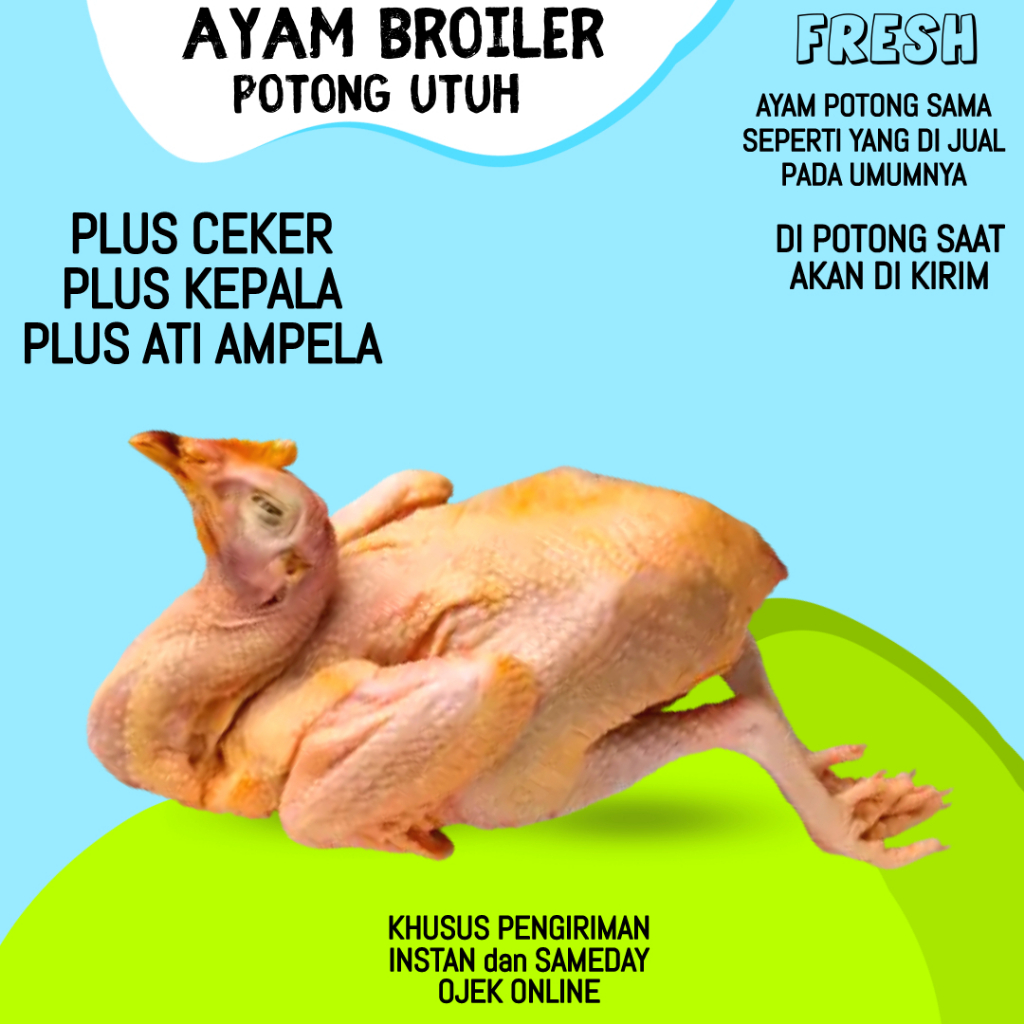 

Daging Ayam Boiler Broiler Potong Utuh Segar Fresh Murah