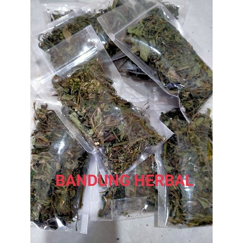 

daun bandotan babadotan kering super teh herbal 25 grm