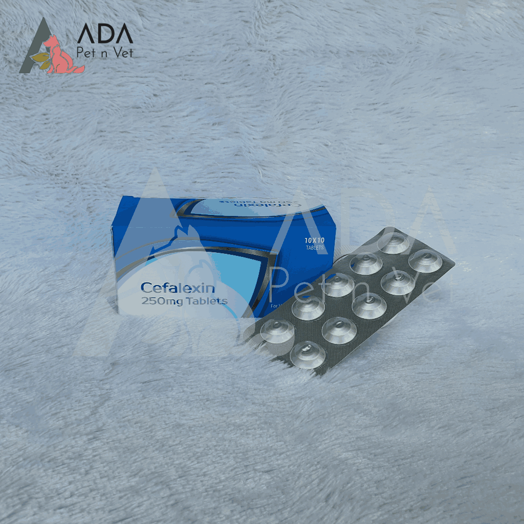 Cefalexin 250mg Antibiotik Tablet Kucing dan Anjing (1 TABLET)