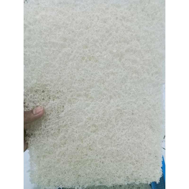 

walet nyepi hancuran bersih ori