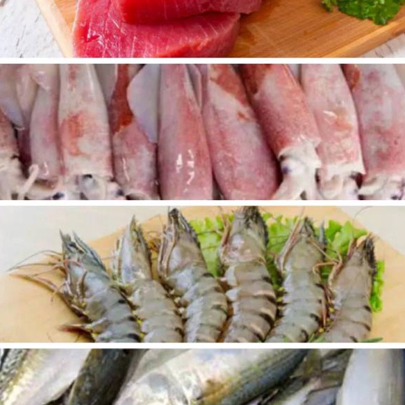 

READY STOK Udang Ikan Tuna Ikan Kembung Banjar Tongkol Cumi Cakalang Selar Kuning