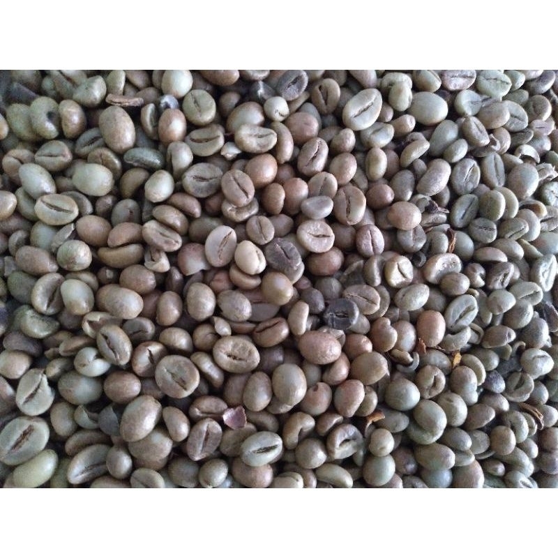 

Biji kopi mentah terbaik